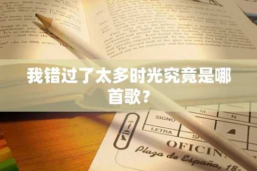 我错过了太多时光究竟是哪首歌？