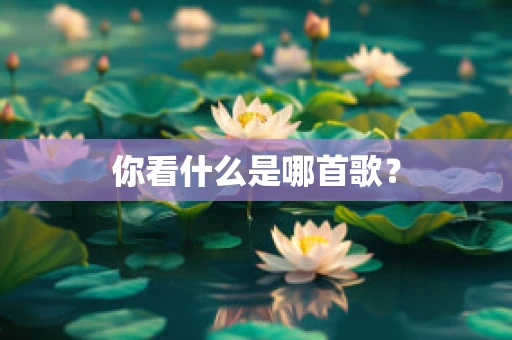 你看什么是哪首歌？