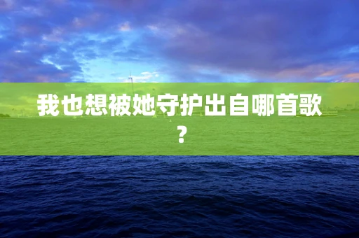 我也想被她守护出自哪首歌？