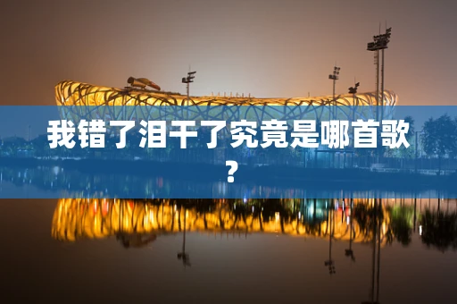 我错了泪干了究竟是哪首歌？