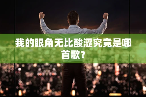 我的眼角无比酸涩究竟是哪首歌？