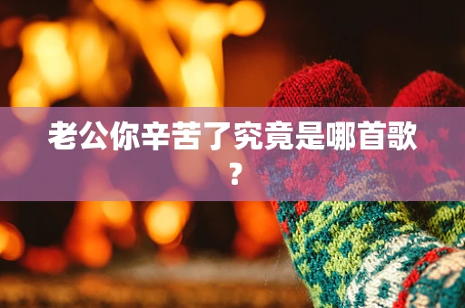 老公你辛苦了究竟是哪首歌？
