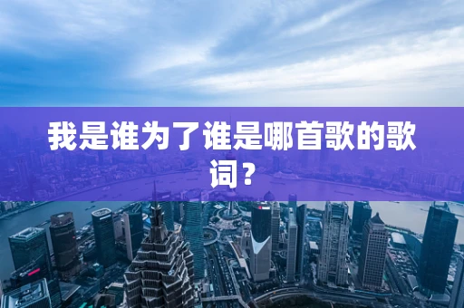 我是谁为了谁是哪首歌的歌词？