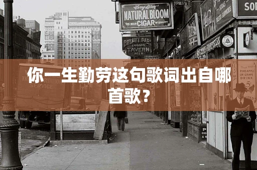 你一生勤劳这句歌词出自哪首歌？