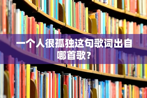 一个人很孤独这句歌词出自哪首歌？