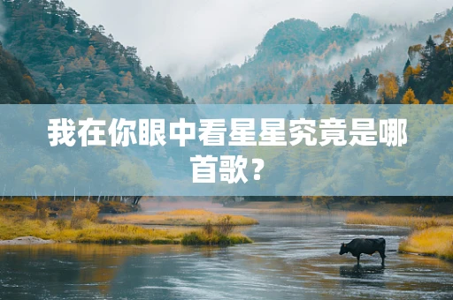 我在你眼中看星星究竟是哪首歌？