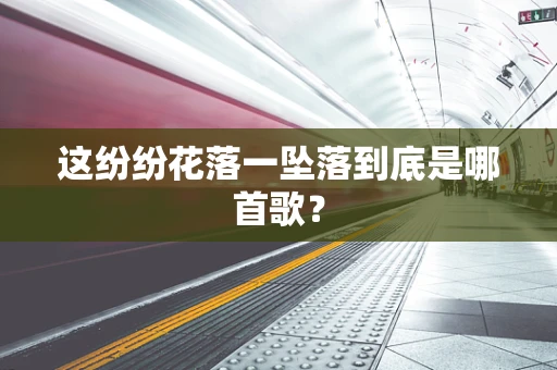 这纷纷花落一坠落到底是哪首歌？