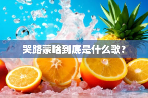 哭路蒙哈到底是什么歌？
