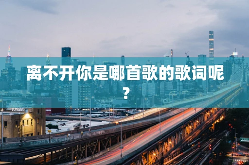 离不开你是哪首歌的歌词呢？