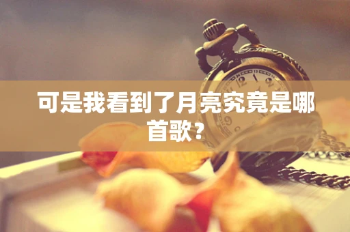 可是我看到了月亮究竟是哪首歌？