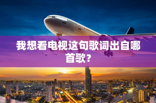 我想看电视这句歌词出自哪首歌？
