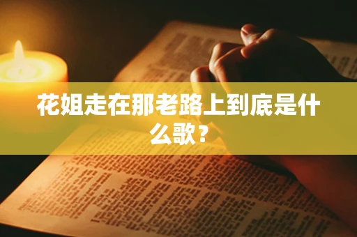 花姐走在那老路上到底是什么歌？