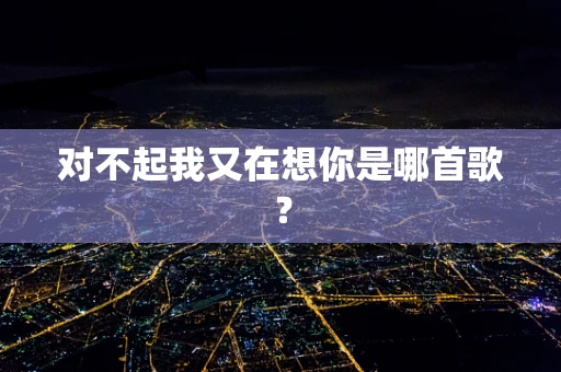 对不起我又在想你是哪首歌？