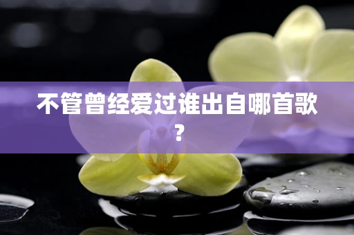 不管曾经爱过谁出自哪首歌？