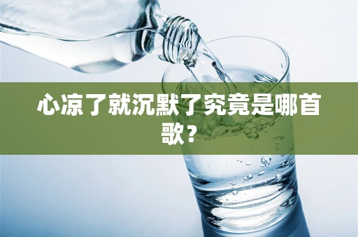 心凉了就沉默了究竟是哪首歌？