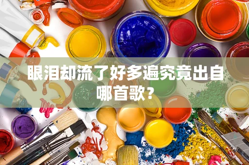 眼泪却流了好多遍究竟出自哪首歌？
