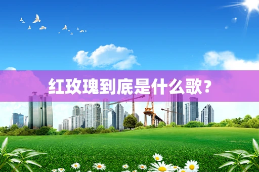 红玫瑰到底是什么歌？