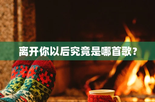 离开你以后究竟是哪首歌？
