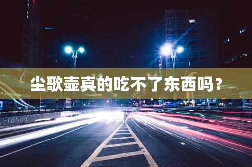 尘歌壶真的吃不了东西吗？