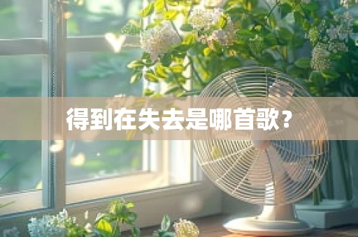 得到在失去是哪首歌？