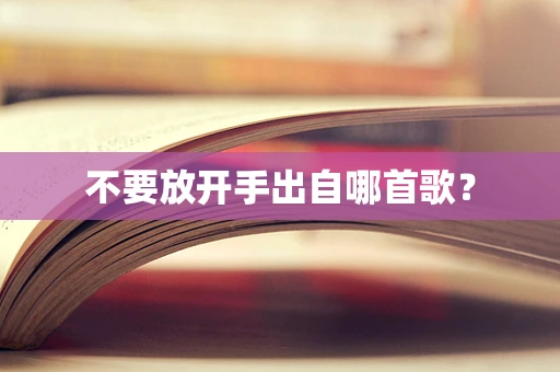不要放开手出自哪首歌？