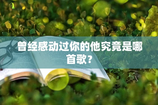 曾经感动过你的他究竟是哪首歌？