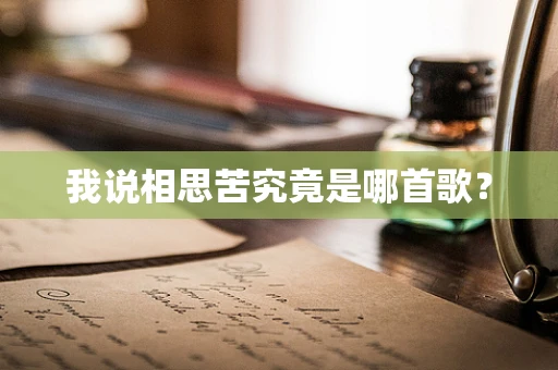 我说相思苦究竟是哪首歌？