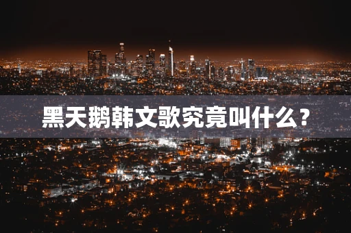 黑天鹅韩文歌究竟叫什么？