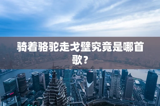 骑着骆驼走戈壁究竟是哪首歌？