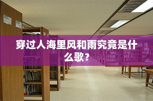 穿过人海里风和雨究竟是什么歌？