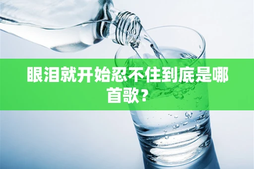 眼泪就开始忍不住到底是哪首歌？