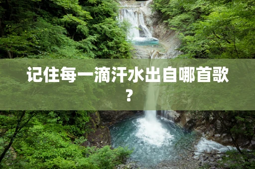 记住每一滴汗水出自哪首歌？