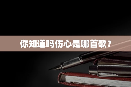 你知道吗伤心是哪首歌？