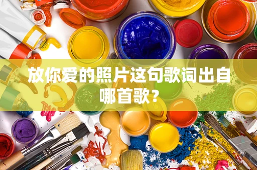 放你爱的照片这句歌词出自哪首歌？