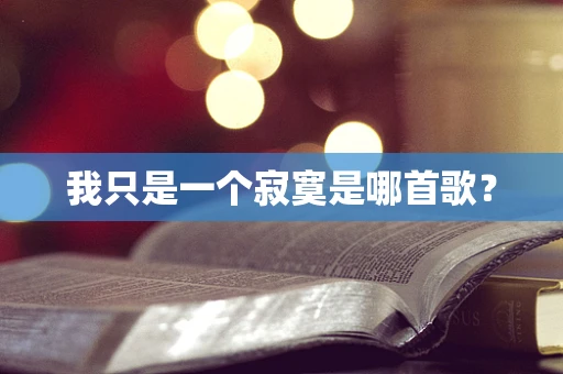 我只是一个寂寞是哪首歌？