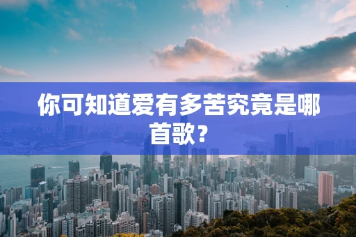 你可知道爱有多苦究竟是哪首歌？