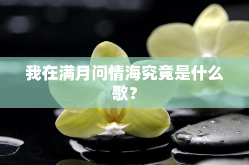 我在满月问情海究竟是什么歌？