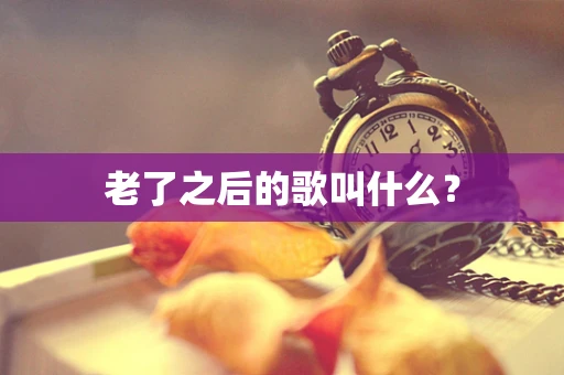 老了之后的歌叫什么？