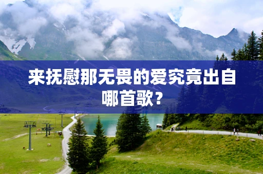 来抚慰那无畏的爱究竟出自哪首歌？