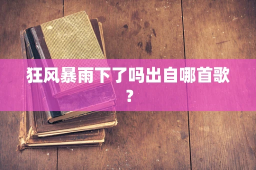 狂风暴雨下了吗出自哪首歌？