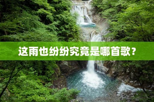 这雨也纷纷究竟是哪首歌？
