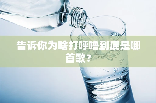 告诉你为啥打呼噜到底是哪首歌？