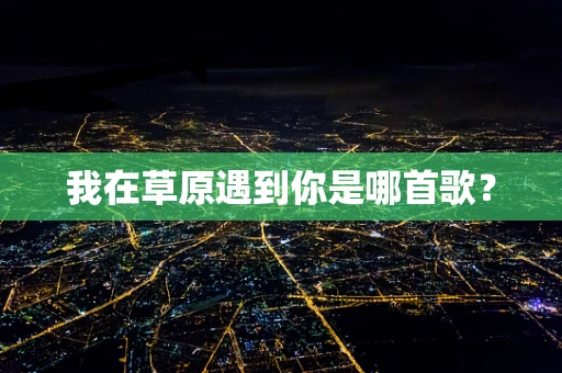 我在草原遇到你是哪首歌？