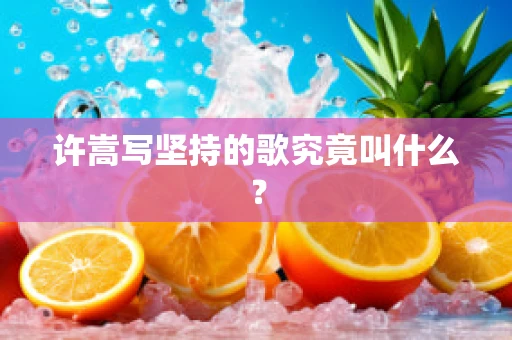 许嵩写坚持的歌究竟叫什么？
