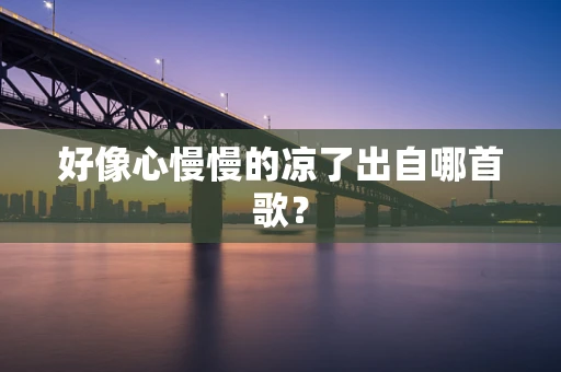 好像心慢慢的凉了出自哪首歌？