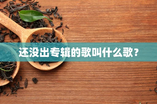 还没出专辑的歌叫什么歌？