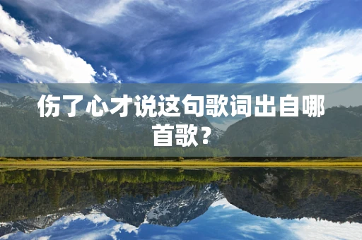 伤了心才说这句歌词出自哪首歌？