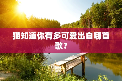 猫知道你有多可爱出自哪首歌？