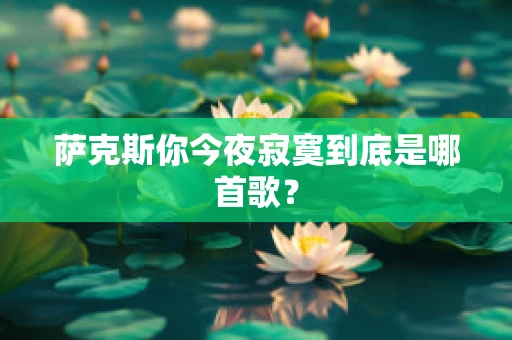 萨克斯你今夜寂寞到底是哪首歌？
