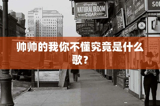 帅帅的我你不懂究竟是什么歌？